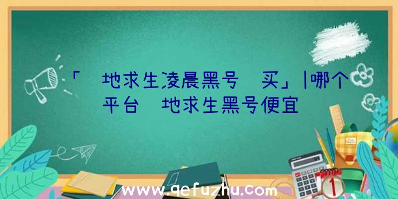 「绝地求生凌晨黑号购买」|哪个平台绝地求生黑号便宜